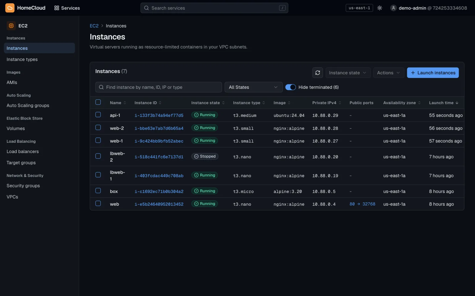 EC2 instances list with names, instance IDs, running or stopped state, instance types, images and private IPs.